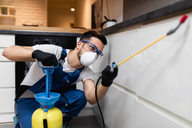 Best Termite Control Services  in Colfax, WA