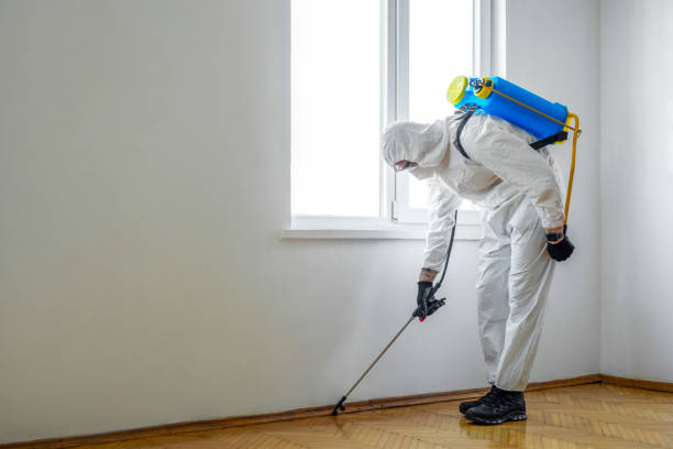 Best Wildlife Control Services  in Colfax, WA