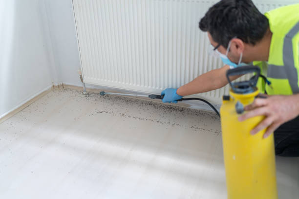 Professional Pest Control in Colfax, WA