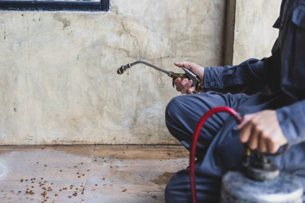 Best Rat Extermination Near Me  in Colfax, WA